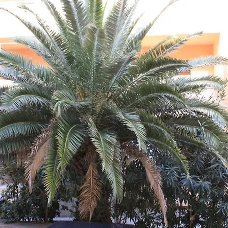 Diocletian Palace Suites Apartman Split